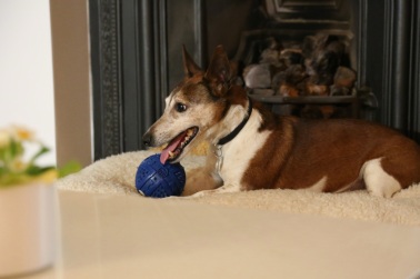 obsessing over a ball