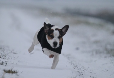 love the snow (hate the coat!)