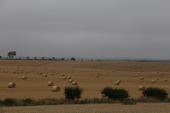 Harvest in Northumberland